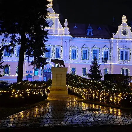 Alpine Sunrise - Old Center דירה