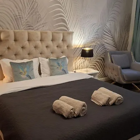 Alpine Sunrise - Old Center Апартаменты Брашов