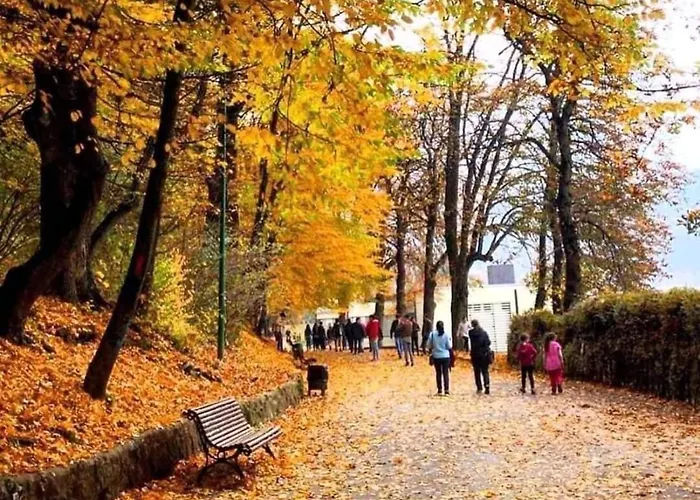 Apartment Alpine Sunrise - Old Center