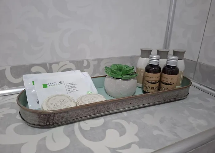 Apartment Alpine Sunrise - Old Center Brasov