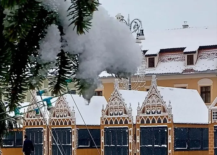 Alpine Sunrise - Old Center Apartment Brasov